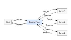 مقایسه Caddy و Nginx Proxy Manager