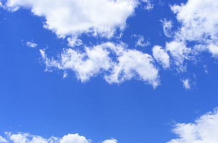 ابی