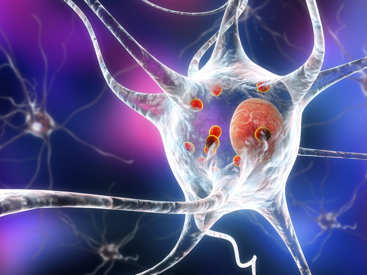 Colorful illustration of a neuron with branched dendrites and red synaptic vesicles along the cell body, showing neural connections.