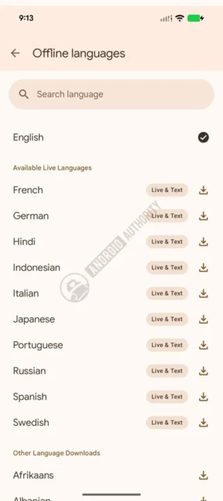 برنامه Google Translate سرانجام پشتیبانی آفلاین از حالت Live را اضافه کرد | دیجینوی
