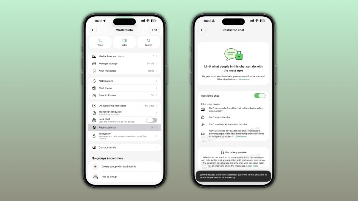 Two iPhone screens displaying WhatsApp privacy settings, including Restricted chat and lock icon explanation on the right screen and profile options on the left screen.