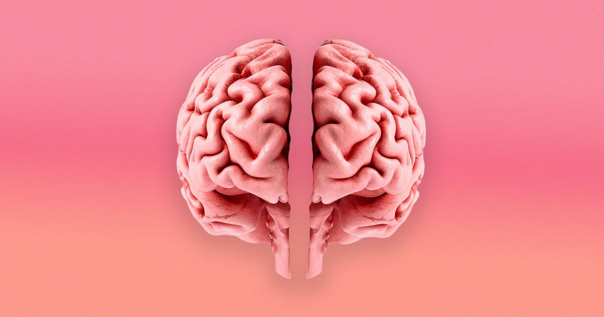Pink human brain split down the middle against a soft pink gradient background.