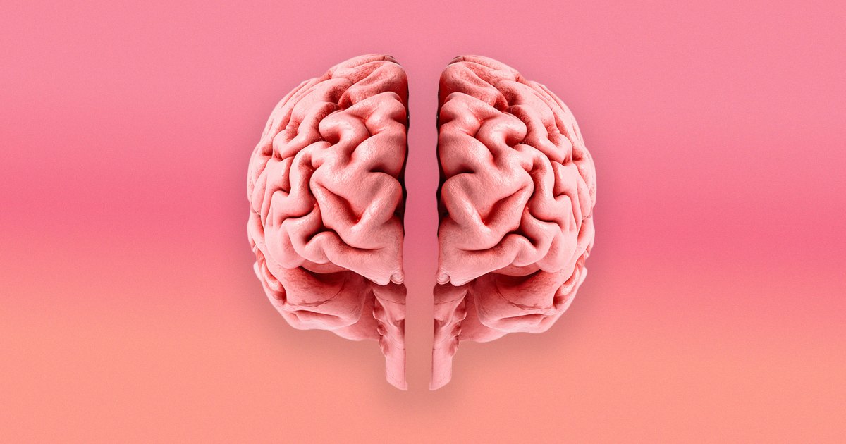 Pink human brain split down the middle against a soft pink gradient background.