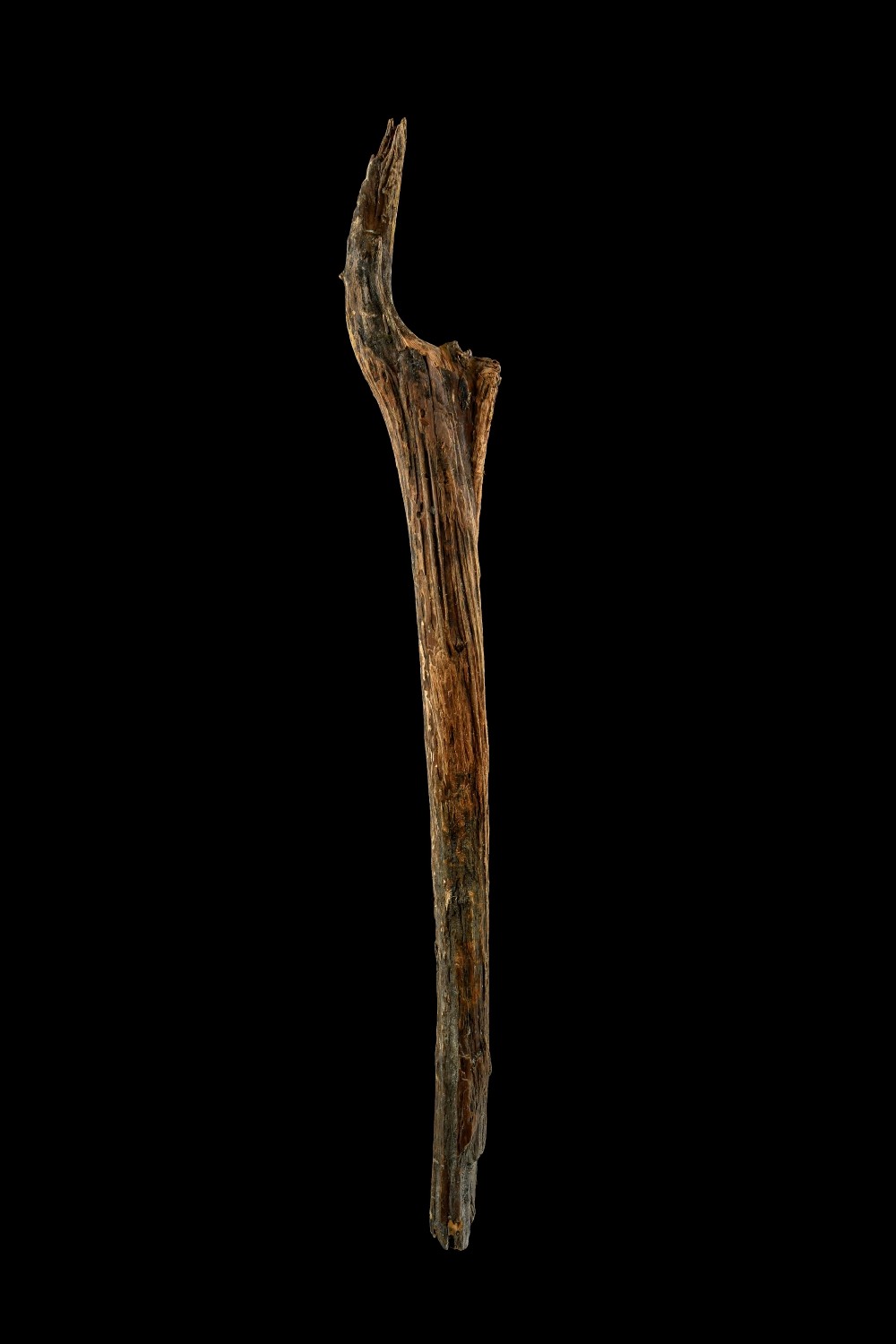 غواصان سازه‌های چوبی ۱۰۵۰۰ ساله را از عمق یک دریاچه بیرون کشیدند | دیجینوی