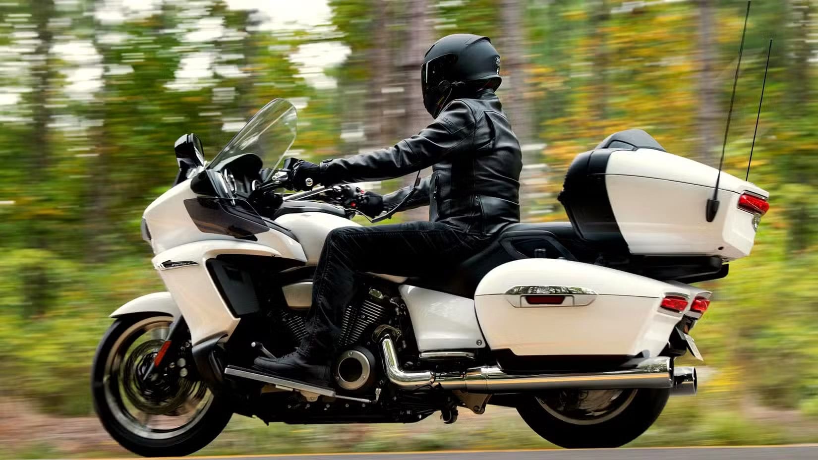 Rider in black leather gear on a white touring motorcycle with a top case, moving along a forest road.