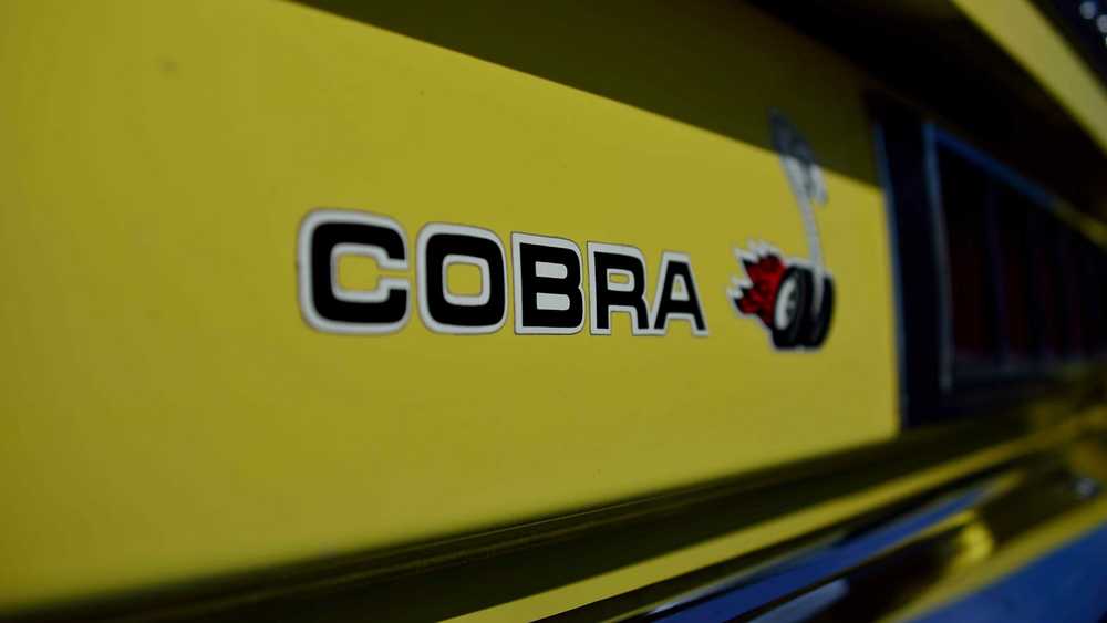 Close-up of a bright yellow Cobra logo decal on a car body, with the word COBRA and a snake emblem visible in the frame.