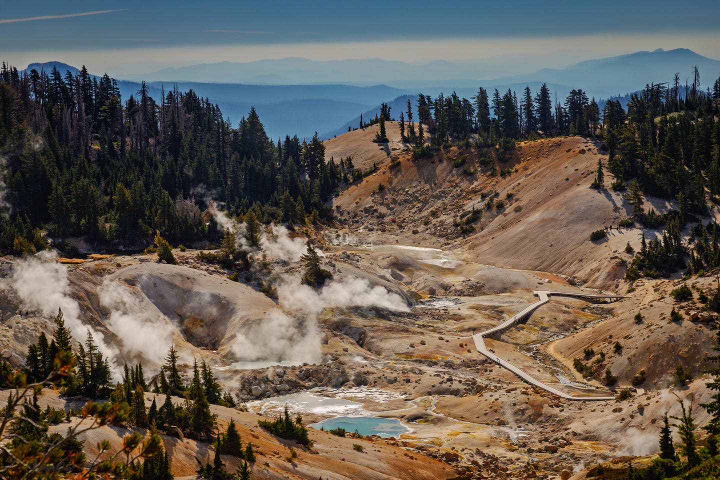 Boardwalk winds through a geothermal field with steam vents, yellow-brown soil, and a pine forest backdrop under distant mountains.