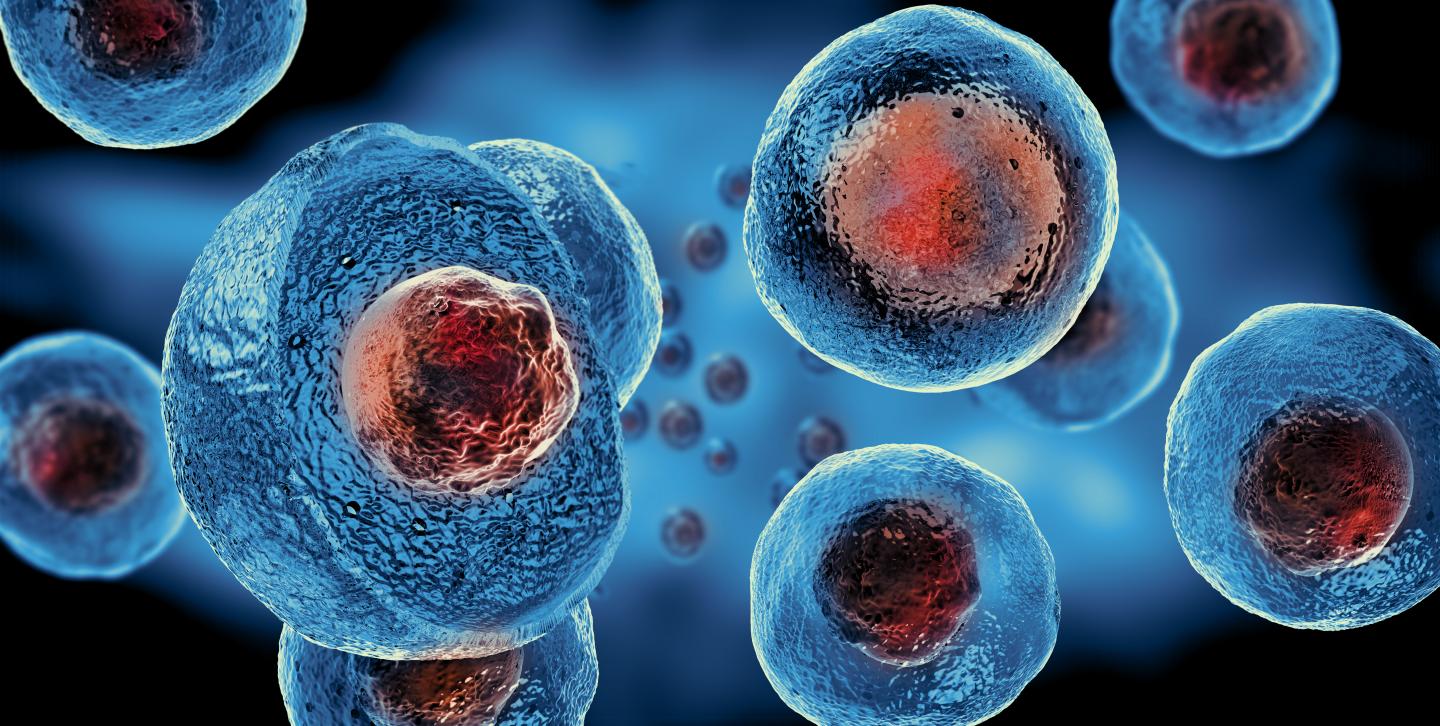 Close-up of blue spherical cells with red centers, set against a dark background (microscopic view).