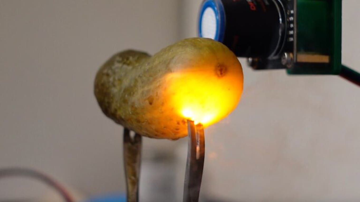 Close-up of a yellow squash held by metal tongs being heated by a lab device with an orange glow and a control gauge in the background.