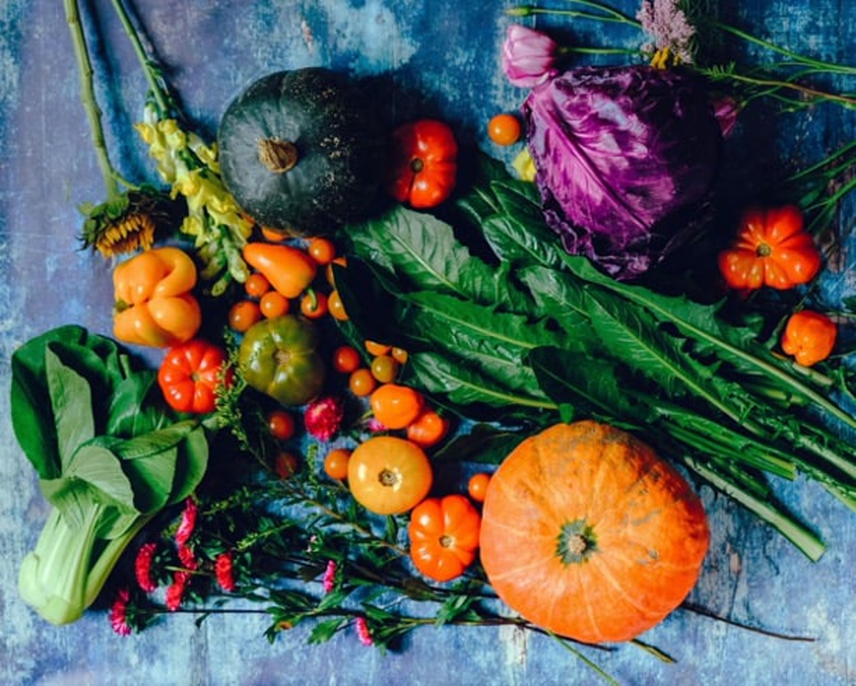 دانشمندان می‌گویند گوشت‌خواران شانس بیشتری برای رسیدن به ۱۰۰ سالگی دارند | دیجینوی