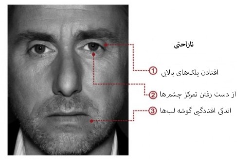 مهندسی اجتماعی بر اساس جزییات حرکات چهره در حالت ناراحتی