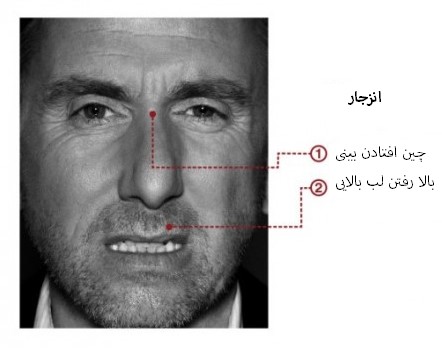 مهندسی اجتماعی بر اساس جزییات حرکات چهره در حالت انزجار