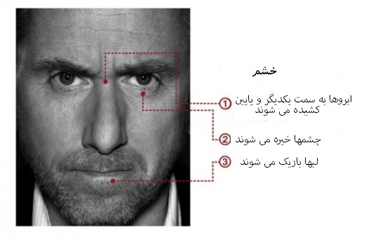 مهندسی اجتماعی بر اساس جزییات حرکات چهره در حالت خشم