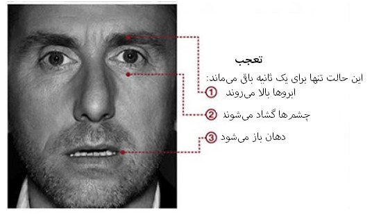 مهندسی اجتماعی بر اساس جزییات حرکات چهره در حالت تعجب