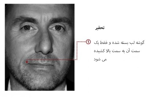 مهندسی اجتماعی بر اساس جزییات حرکات چهره در حالت تحقیر
