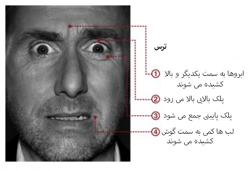 مهندسی اجتماعی بر اساس جزییات حرکات چهره در حالت ترس