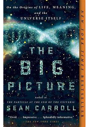The Big Picture