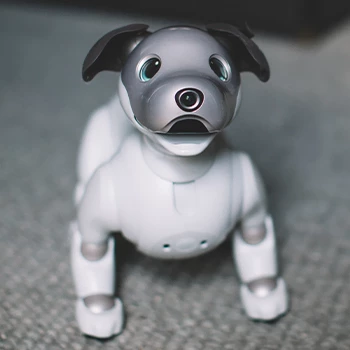 Aibo