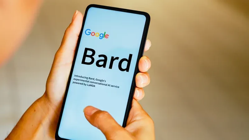 بارد
