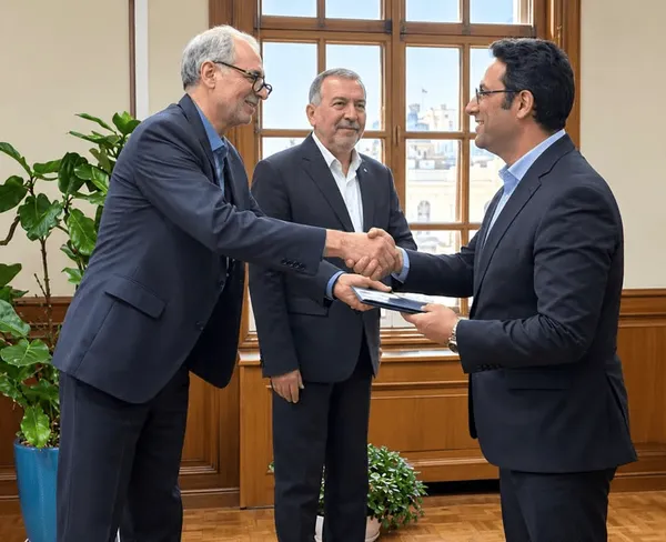 هلدینگ