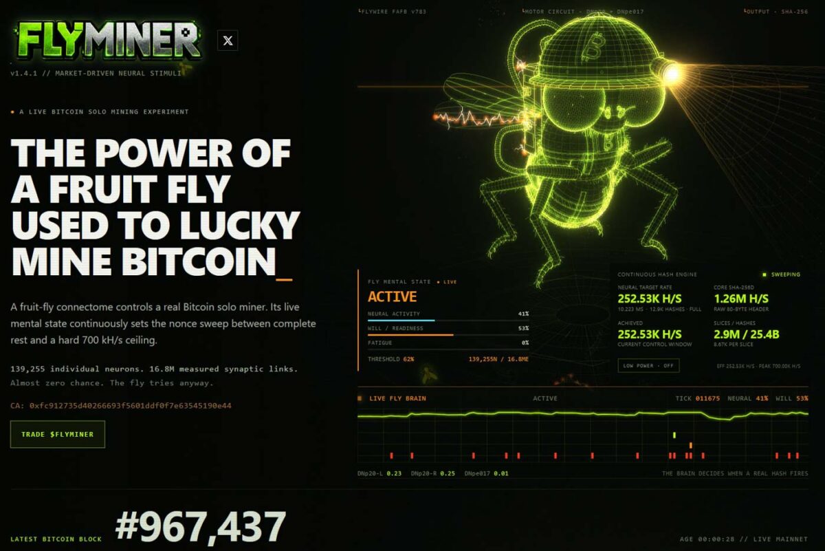 پروژه FlyMiner برای استفاده از شبکه عصبی مغز مگس میوه در فرایند استخراج بیت‌کوین