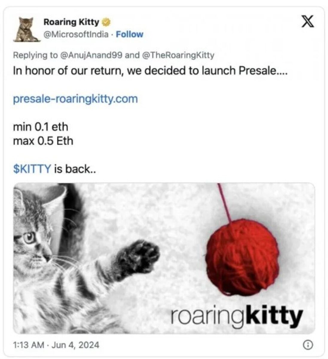 تصویری از حساب Microsoft India که به Roaring Kitty تغییر پیدا کرده