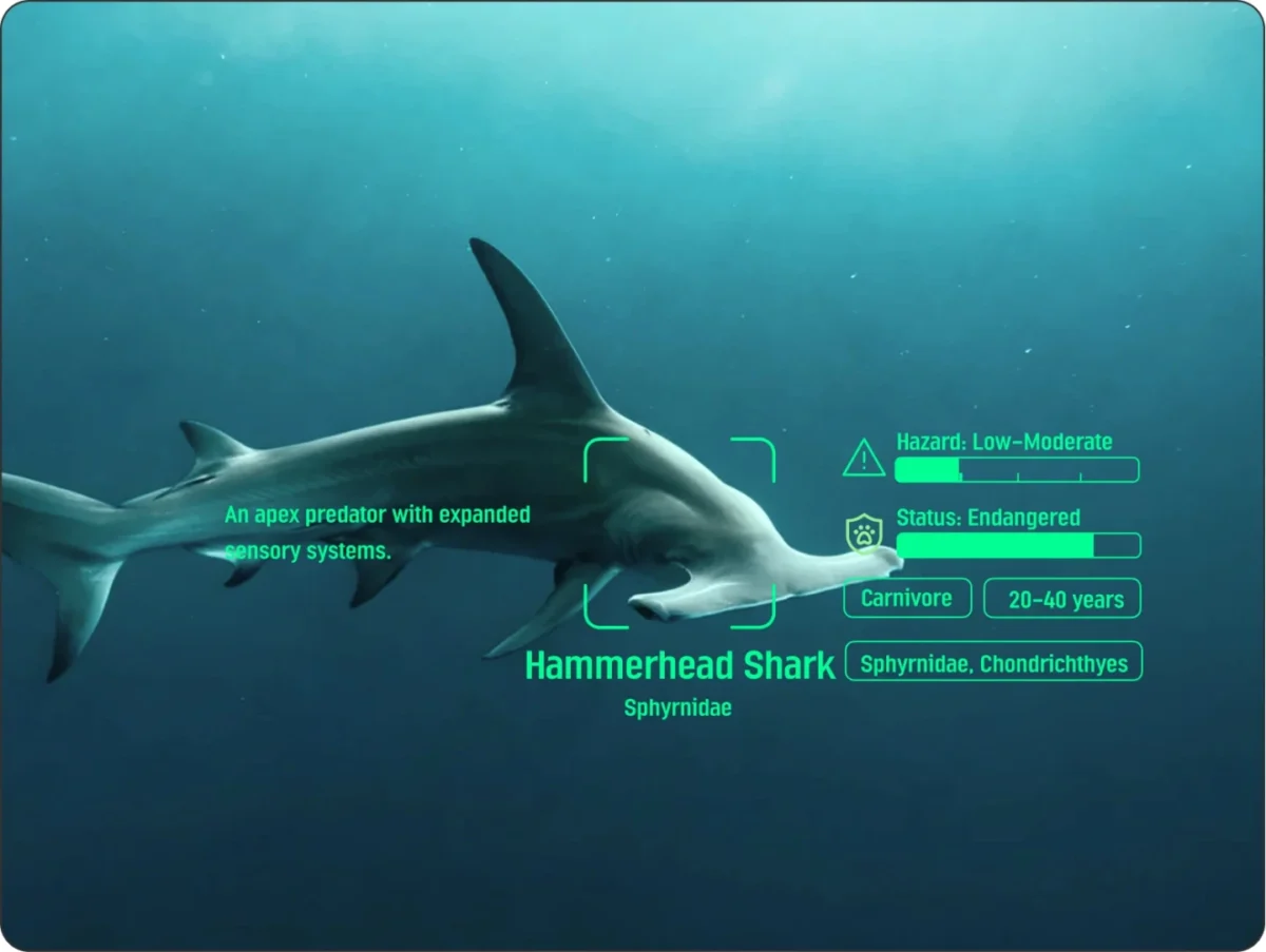 شناسایی کوسه سرچکشی با قابلیت Marine ID Scanner مبتنی بر هوش مصنوعی ماسک Arex One
