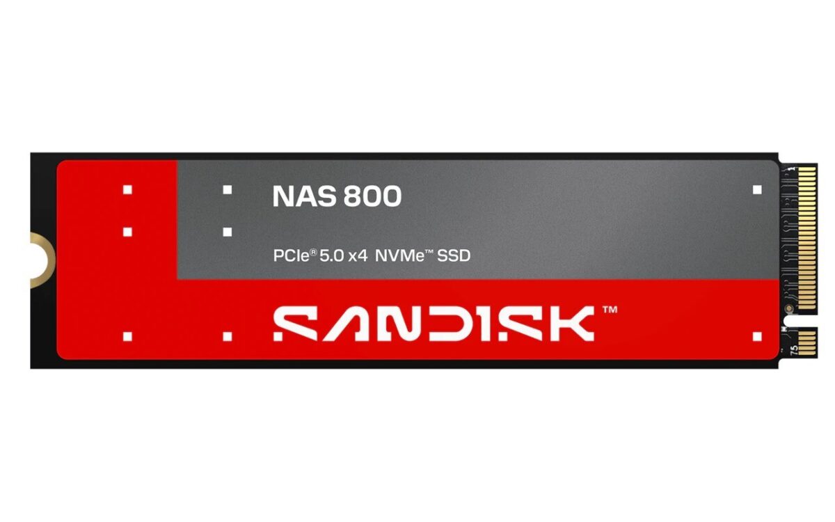 تصویری از SSD سن‌دیسک NAS900