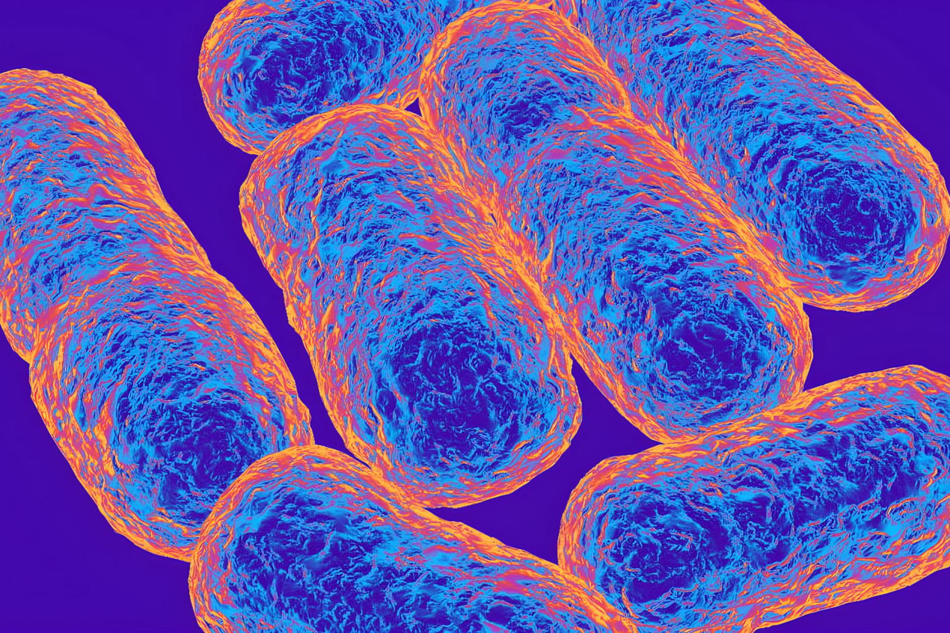 باکتری‌های اشریکیشن (E. coli) با ساختار سلولی برجسته در پس‌زمینه بنفش
