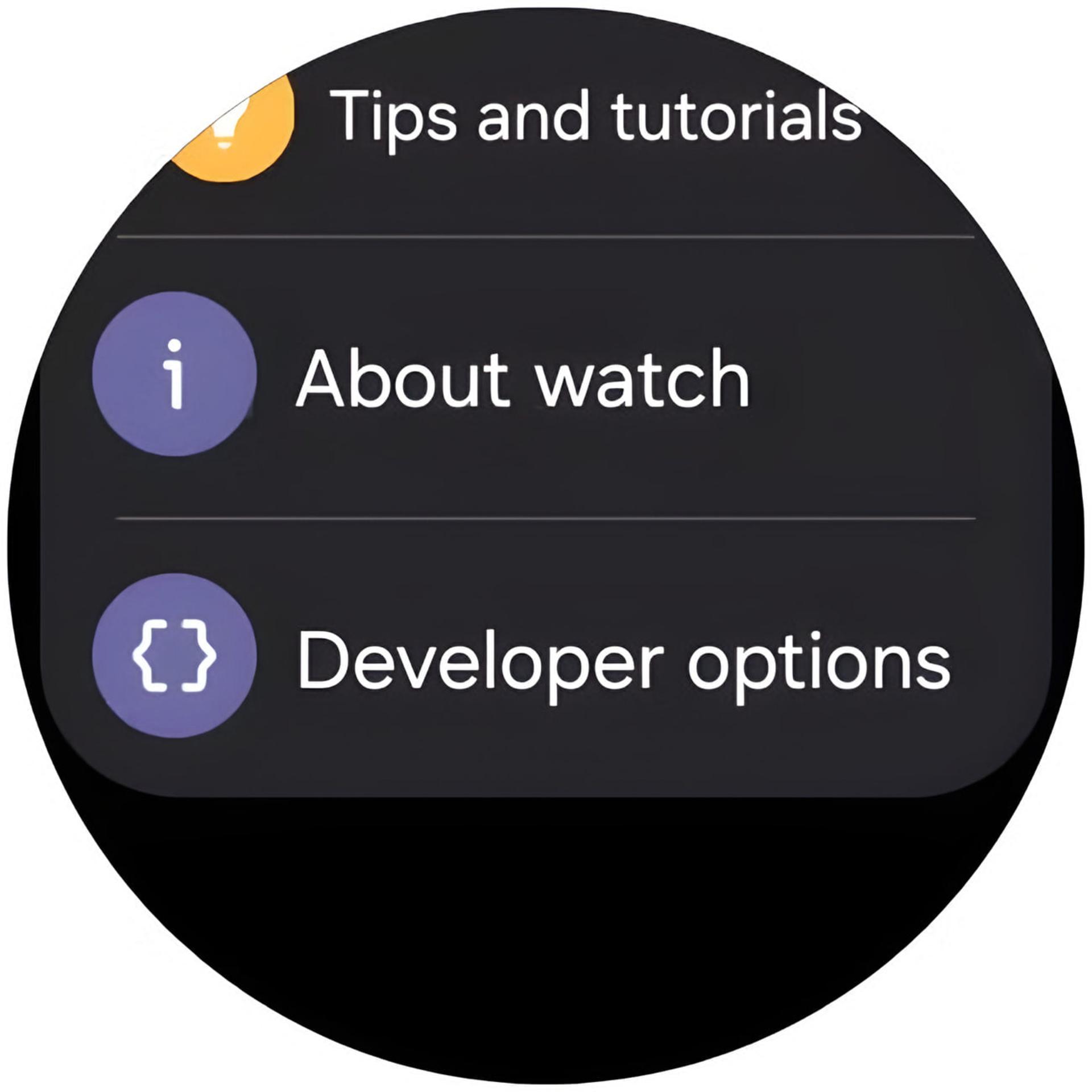 منوی تنظیمات گلکسی واچ (Galaxy Watch) شامل گزینه‌های راهنما و حالت توسعه‌دهنده