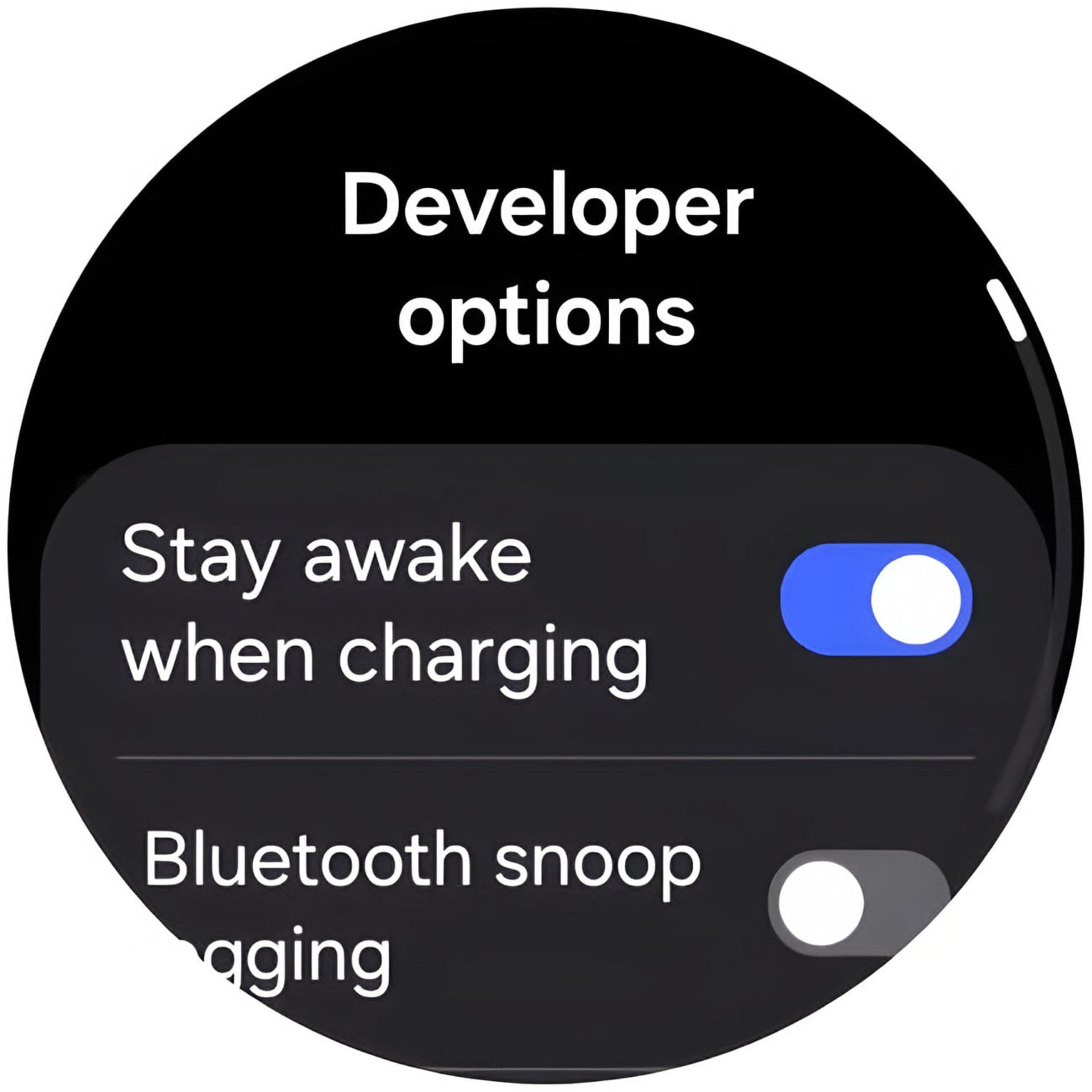 منوی تنظیمات توسعه‌دهنده (Developer options) در ساعت هوشمند گلکسی واچ سامسونگ (Samsung Galaxy Watch)