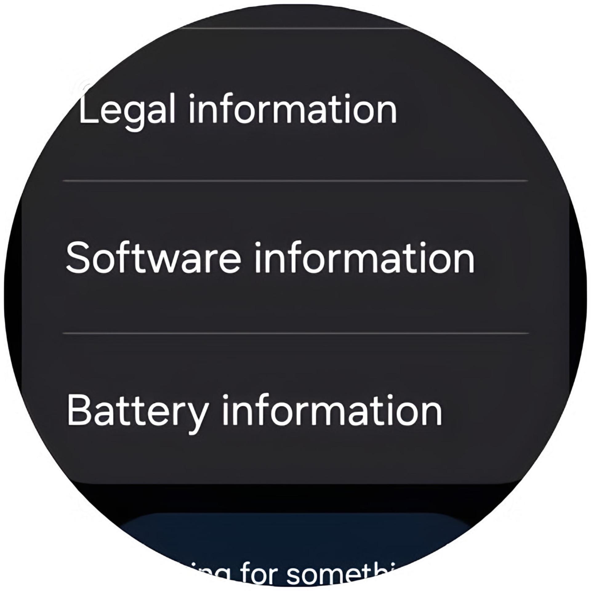 منوی تنظیمات گلکسی واچ (Galaxy Watch) شامل گزینه‌های اطلاعات نرم‌افزار و باتری