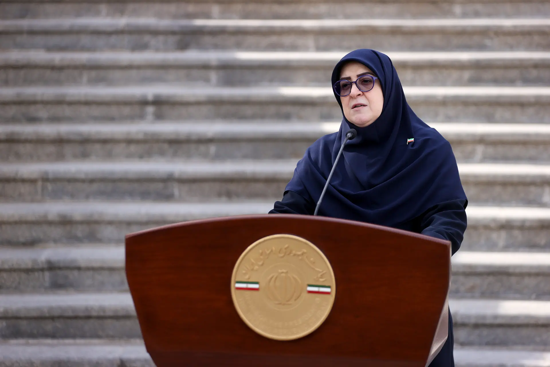 فاطمه مهاجرانی سخنگوی دولت