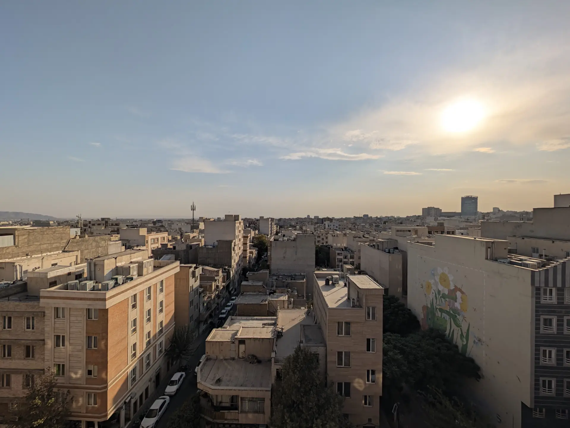 دوربین اولتراواید پیکسل ۱۱ پرو در روز - ۱