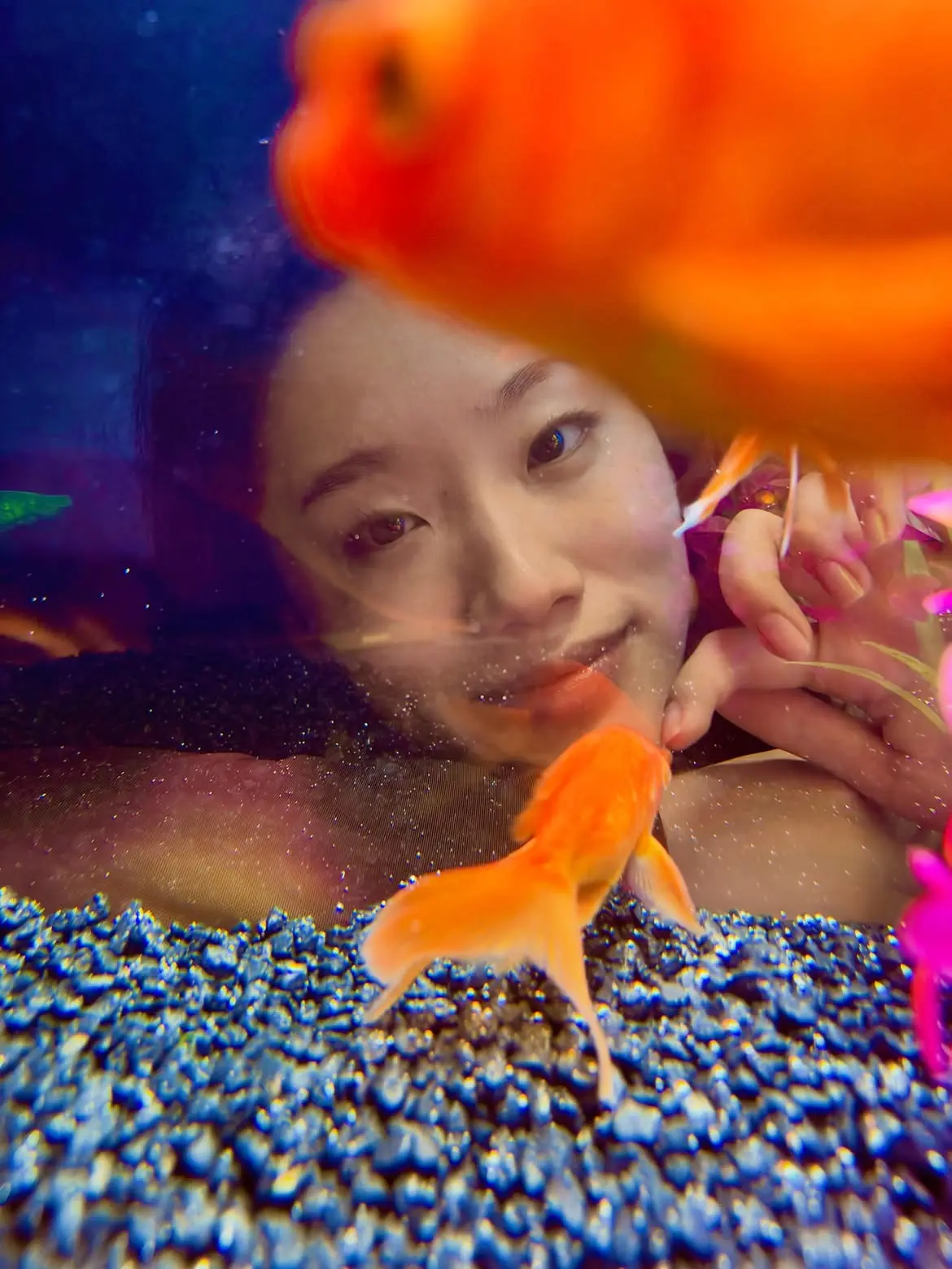ماهی‌های قرمز (Goldfish) در کنار چهره یک زن در آکواریوم