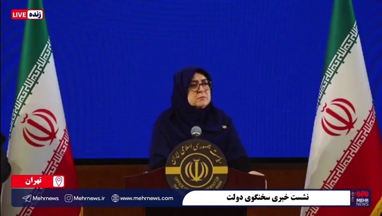 سخنگوی دولت: واردات خودرو فعلاً متوقف شد