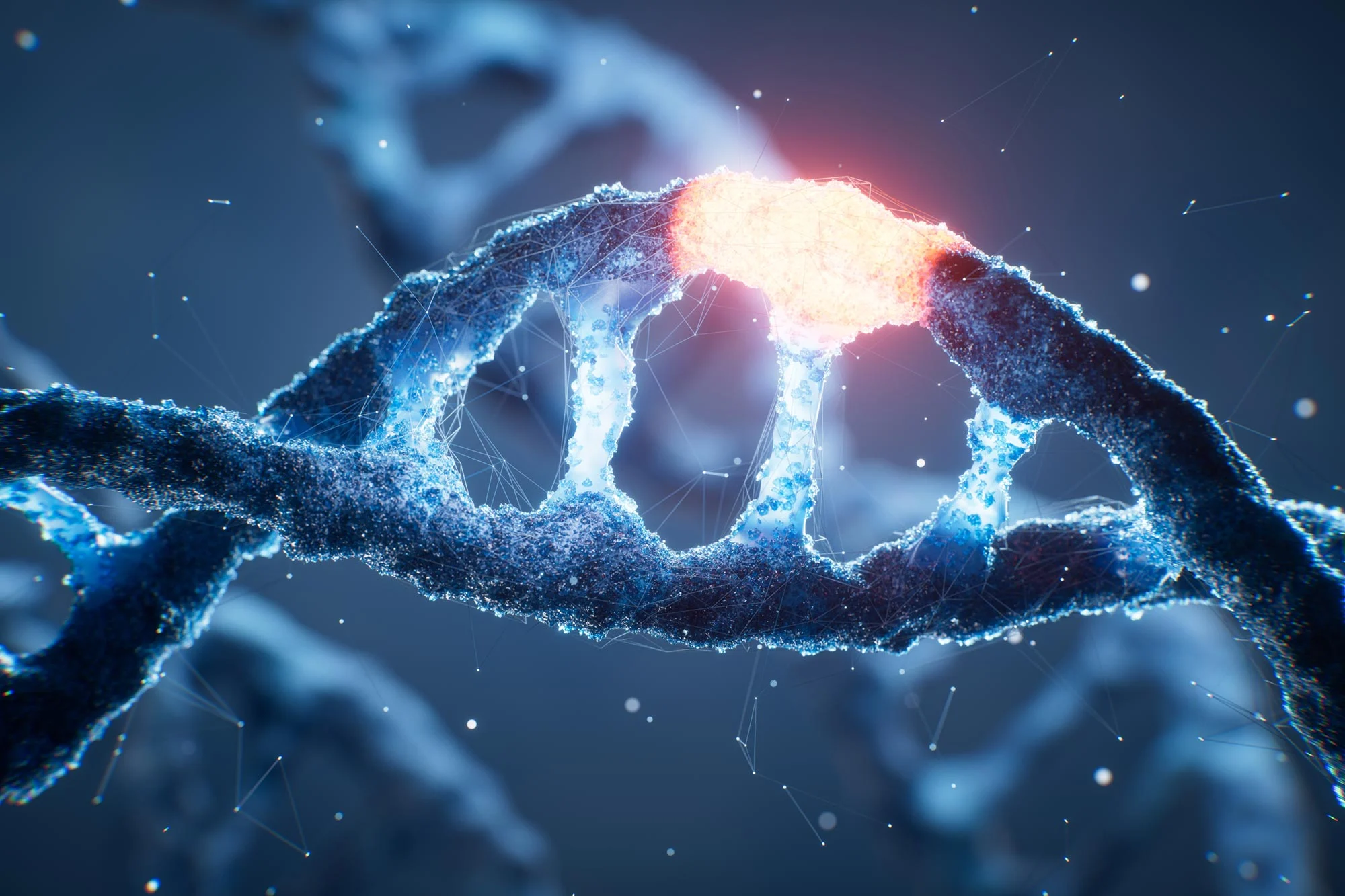 نتایج آزمایش روی موش‌ها: مصرف غذای کمتر می‌تواند جهش‌های DNA را کاهش دهد