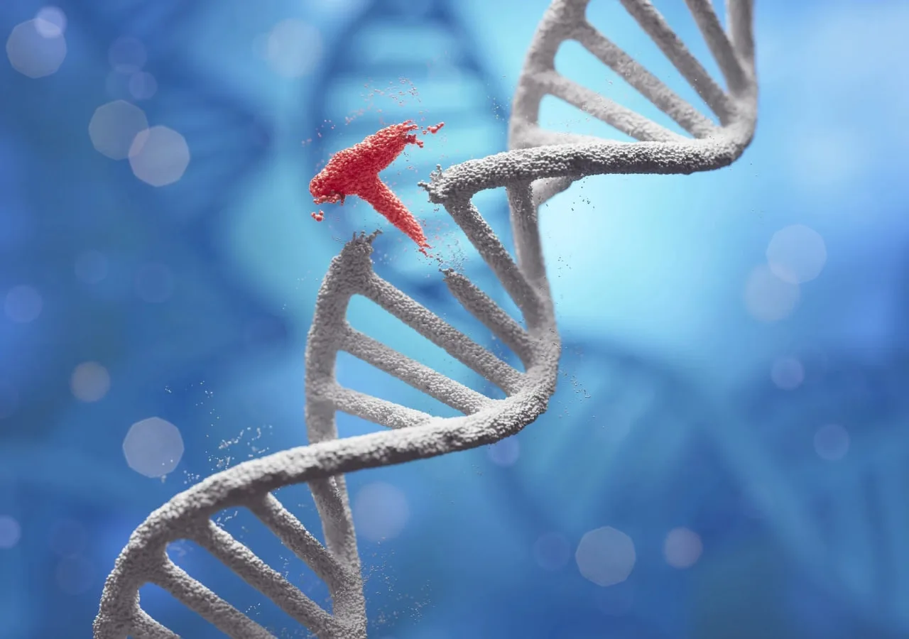 دستاورد جدید دانشمندان؛ ابزار اصلاح ژنتیک برای اولین‌بار DNA را داخل بدن ویرایش کرد