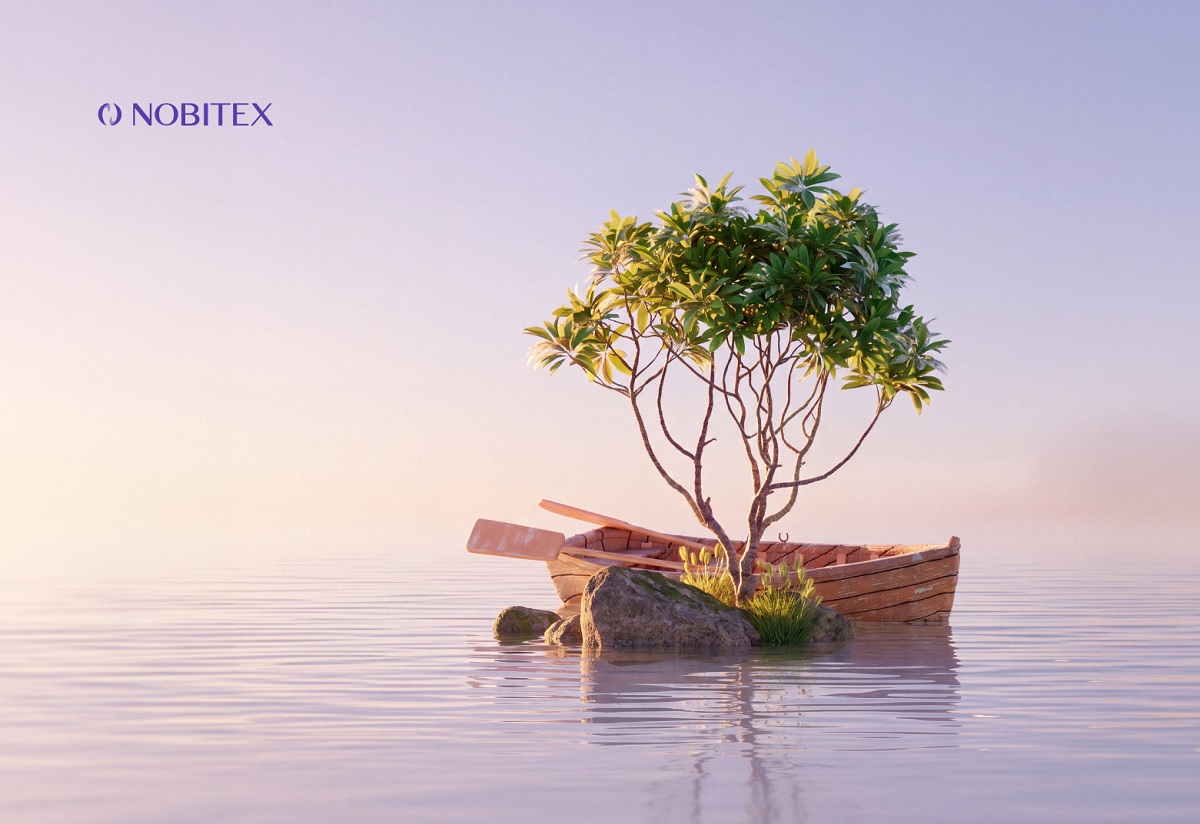 ریشه در خلیج فارس؛ مشارکت نوبیتکس در احیای جنگل‌های حرا