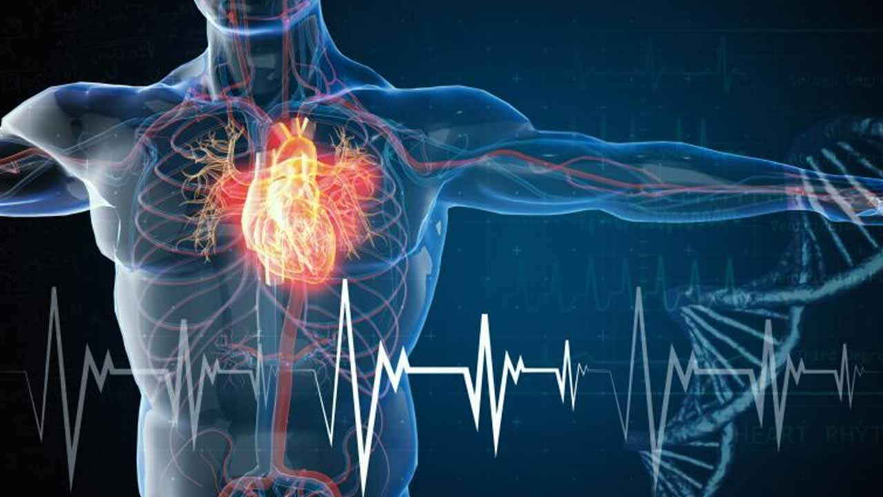 هوش مصنوعی حالا می‌تواند در چند ثانیه بیماری قلبی را شناسایی کند