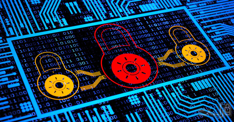 مسائل رایج امنیت برنامه‌های تحت وب و راه‌حل‌های آن‌ها - XNET | اخبار مقالات امنیت سایبری