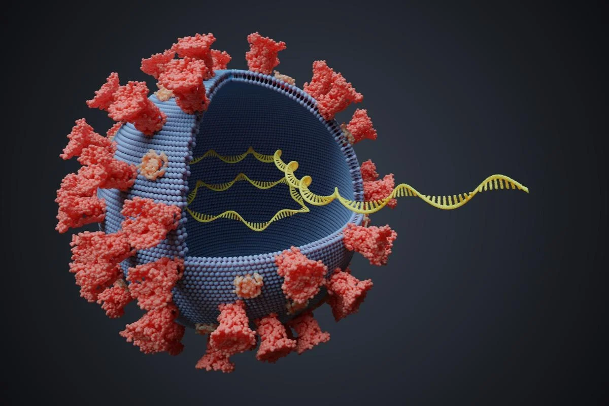 مدل هوش مصنوعی موفق به شناسایی ۱۶۱٬۹۷۹ گونه RNA ویروس شد