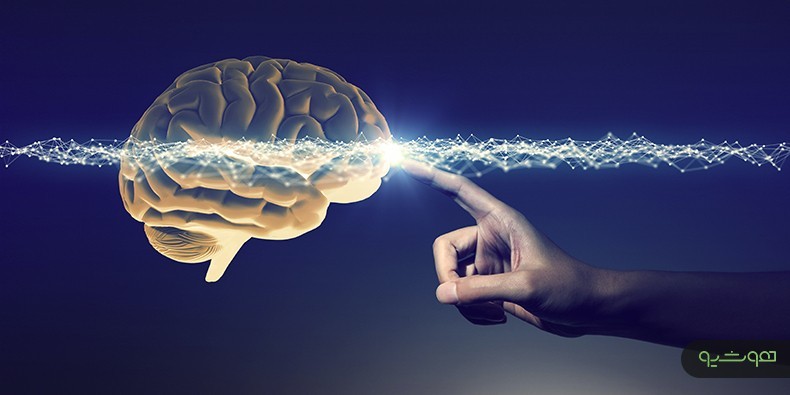 ارتباط برخی ویژگی های کارکردی و ساختار مغز با تمایل به رفتارهای پرخطر