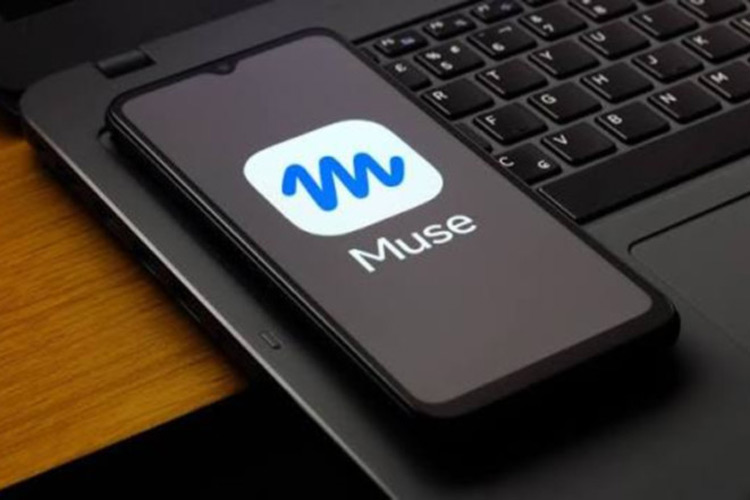 ايتنا - متا خواندن پیام‌های خصوصی توسط Muse را رد کرد؛ ماجرا از کجا شروع شد؟