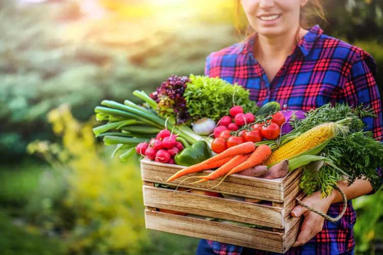 ايتنا - پژوهش جدید: برای کند کردن پیری به یک رژیم غذایی خاص نیاز ندارید