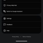 جمنای به‌ طور کامل جایگزین Google Assistant در اندروید شد