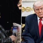 تماس جنجالی ترامپ با جنسن هوانگ؛ ربات‌ها قرار نیست بر انسان‌ها غلبه کنند